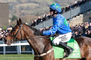 Hurricane Fly & Paul Townend after finishing 3rd in the Stan James Champion Hurdle for Willie Mullins.