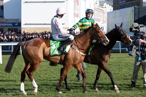 Faugheen & Ruby Walsh win the Stan James Champion Hurdle for Willie Mullins.