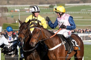 Glen's Melody & Paul Townend after winning the OLBG Mare's Hurdle for Willie Mullins.