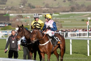 Glen's Melody & Paul Townend after winning the OLBG Mare's Hurdle for Willie Mullins.