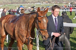 Annie Power walks back after her final flight fall when clear in the OLBG Mare's Hurdle.