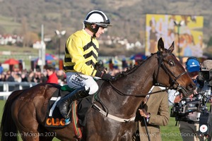 Glen's Melody & Paul Townend after winning the OLBG Mare's Hurdle for Willie Mullins.