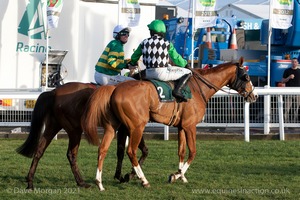 Cause of Causes & Mr. J.J. Codd after winning the Tony Balding National Hunt Chase for Gordon Elliott.