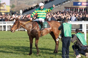 Cause of Causes & Mr. J.J. Codd after winning the Tony Balding National Hunt Chase for Gordon Elliott.