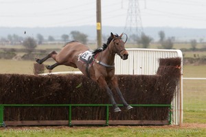 Heythrop Hunt Point to Point Races at Cocklebarrow 2014. 1st race: BA Hull Restricted Race.