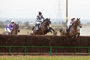 Heythrop Hunt Point to Point Races at Cocklebarrow 2014. 2nd race: Knight Frank Hunt Members, Subscribers & Farmers Race.