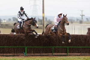 Heythrop Hunt Point to Point Races at Cocklebarrow 2014. 2nd race: Knight Frank Hunt Members, Subscribers & Farmers Race.