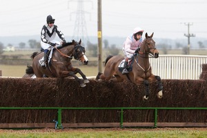 Heythrop Hunt Point to Point Races at Cocklebarrow 2014. 2nd race: Knight Frank Hunt Members, Subscribers & Farmers Race.