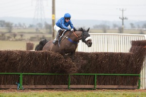 Heythrop Hunt Point to Point Races at Cocklebarrow 2014. 2nd race: Knight Frank Hunt Members, Subscribers & Farmers Race.