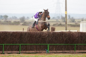 Heythrop Hunt Point to Point Races at Cocklebarrow 2014. 2nd race: Knight Frank Hunt Members, Subscribers & Farmers Race.