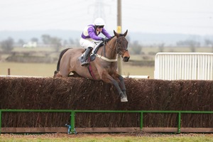 Heythrop Hunt Point to Point Races at Cocklebarrow 2014. 2nd race: Knight Frank Hunt Members, Subscribers & Farmers Race.