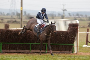 Heythrop Hunt Point to Point Races at Cocklebarrow 2014. 2nd race: Knight Frank Hunt Members, Subscribers & Farmers Race.