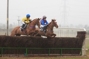 Heythrop Hunt Point to Point Races at Cocklebarrow 2014. 4th race: William Powell Ladies Open Race.