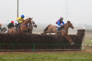 Heythrop Hunt Point to Point Races at Cocklebarrow 2014. 4th race: William Powell Ladies Open Race.