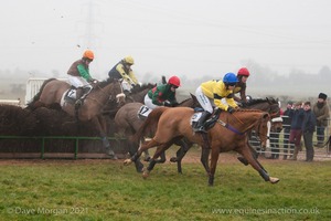 Heythrop Hunt Point to Point Races at Cocklebarrow 2014. 4th race: William Powell Ladies Open Race.