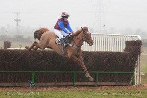 Heythrop Hunt Point to Point Races at Cocklebarrow 2014. 4th race: William Powell Ladies Open Race.