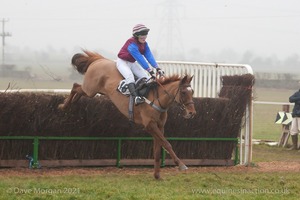 Heythrop Hunt Point to Point Races at Cocklebarrow 2014. 4th race: William Powell Ladies Open Race.