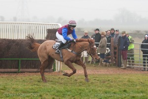 Heythrop Hunt Point to Point Races at Cocklebarrow 2014. 4th race: William Powell Ladies Open Race.