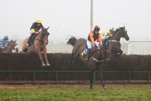 Heythrop Hunt Point to Point Races at Cocklebarrow 2014. 4th race: William Powell Ladies Open Race.