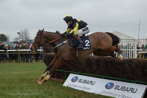 Fiasco (far side), Rise to It and Stoleaway in the Subaru Restricted Race