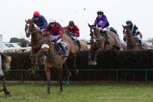 Dungeel (center) in the Kings Head Bledington PPORA race