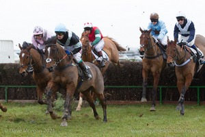 Upton Centurion, Iberico and Mattara in the Kings Head Bledington PPORA race