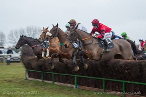 Young QC (closest) in the Carter Jonas Open Maiden Race