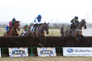 Heythrop Hunt Point to Point Races - Cocklebarrow Sunday 25th January 2015. 4th Race: The King's Head, Bledington Ladies Open Race.