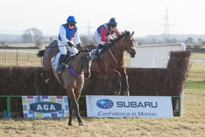 Heythrop Hunt Point to Point Races - Cocklebarrow Sunday 25th January 2015. 4th Race: The King's Head, Bledington Ladies Open Race.