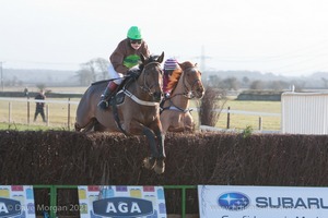 Heythrop Hunt Point to Point Races - Cocklebarrow Sunday 25th January 2015. 4th Race: The King's Head, Bledington Ladies Open Race.