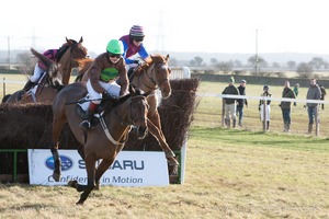 Heythrop Hunt Point to Point Races - Cocklebarrow Sunday 25th January 2015. 4th Race: The King's Head, Bledington Ladies Open Race.