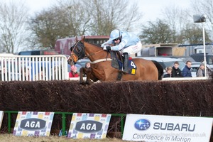 Heythrop Hunt Point to Point Races - Cocklebarrow Sunday 25th January 2015. 5th Race: The Savills Lord Ashton of Hyde's Cup Mens Open Race.