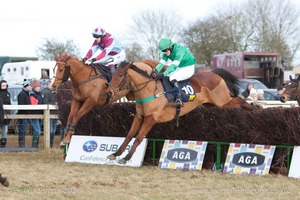 Heythrop Hunt Point to Point Races - Cocklebarrow Sunday 25th January 2015. 5th Race: The Savills Lord Ashton of Hyde's Cup Mens Open Race.
