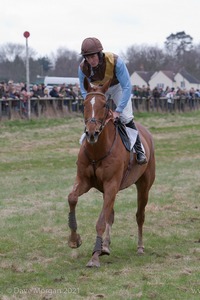 Paxford Point to Point Races - 5th April 2010