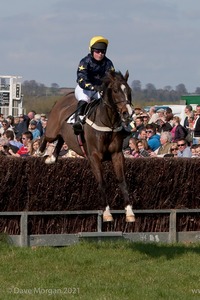 Paxford Point to Point Races - 13th April 2009