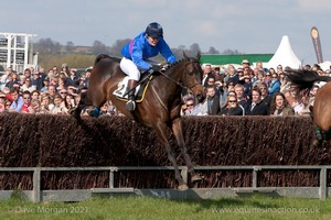 Paxford Point to Point Races - 13th April 2009