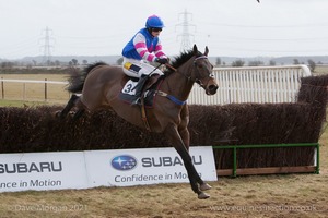 Red hot favourite Gauvain. 4th Race: The Local Farriers Ladies Open Race.