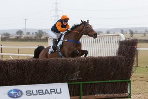 Little Chip clears the last to win. 4th Race: The Local Farriers Ladies Open Race.