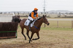 Little Chip clears the last to win. 4th Race: The Local Farriers Ladies Open Race.