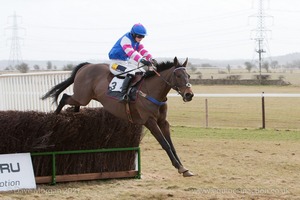 Red hot favourite Gauvain clears the last to finish 2nd. 4th Race: The Local Farriers Ladies Open Race.