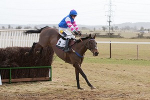 Red hot favourite Gauvain clears the last to finish 2nd. 4th Race: The Local Farriers Ladies Open Race.