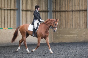 ISIS Dressage Group Crown Farm Show - 25th April 2010