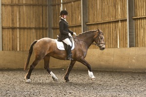 ISIS Dressage Group Crown Farm Show - 10th April 2011