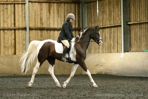 ISIS Dressage Crown Farm Show - 29th April 2012