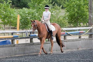 ISIS Dressage Group Member's Challenge, Worton Park, Cassington - 4th July 2010