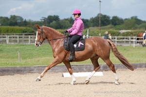 ISIS Dressage Group Member's Challenge, Gainfield - 14th May 2011