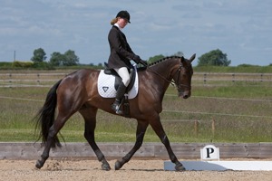 ISIS Dressage Group Gainfield Show - 14th June 2009