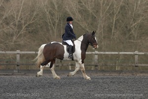 ISIS Dressage Group Hill Farm Show - 9th March 2008