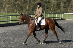 ISIS Dressage Group Hill Farm Show - 11th October 2008