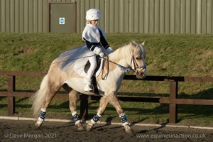 ISIS Dressage Group Home Farm Show Fancy Dress Selection - 7th December 2008